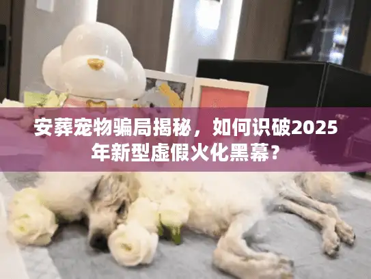 安葬宠物骗局揭秘，如何识破2025年新型虚假火化黑幕？