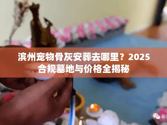 滨州宠物骨灰安葬去哪里？2025合规墓地与价格全揭秘