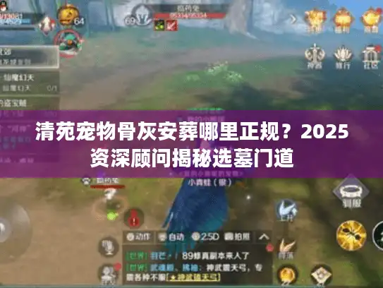 清苑宠物骨灰安葬哪里正规？2025资深顾问揭秘选墓门道