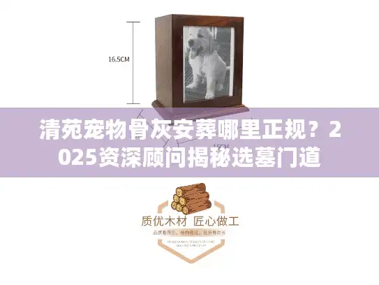 清苑宠物骨灰安葬哪里正规？2025资深顾问揭秘选墓门道