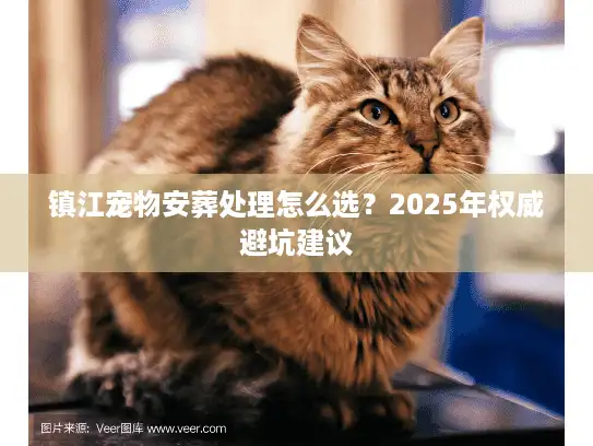 镇江宠物安葬处理怎么选？2025年权威避坑建议