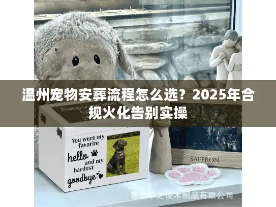 温州宠物安葬流程怎么选？2025年合规火化告别实操