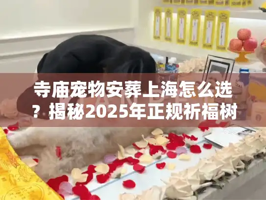 寺庙宠物安葬上海怎么选？揭秘2025年正规祈福树葬内幕