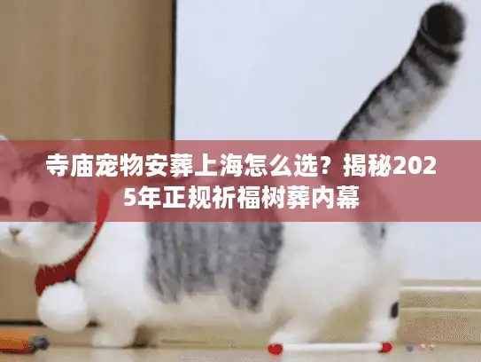 寺庙宠物安葬上海怎么选？揭秘2025年正规祈福树葬内幕