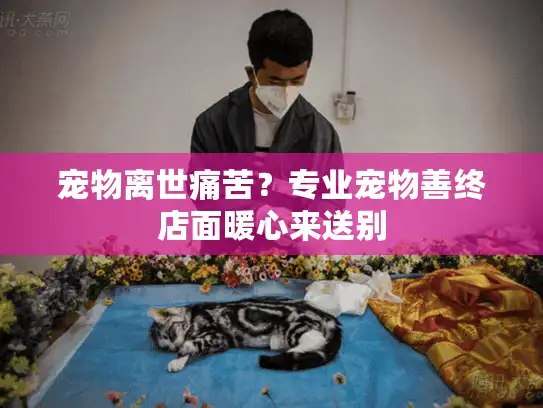 宠物离世痛苦？专业宠物善终店面暖心来送别