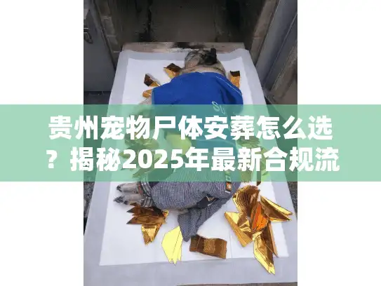 贵州宠物尸体安葬怎么选？揭秘2025年最新合规流程