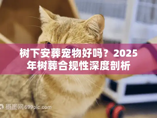 树下安葬宠物好吗？2025年树葬合规性深度剖析