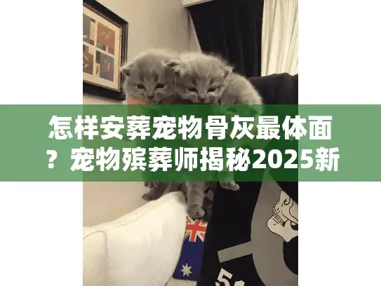 怎样安葬宠物骨灰最体面？宠物殡葬师揭秘2025新规