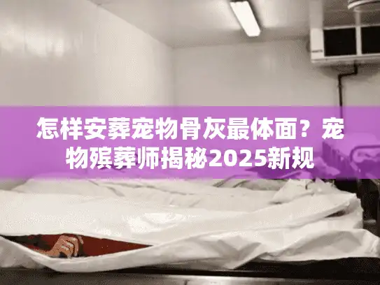 怎样安葬宠物骨灰最体面？宠物殡葬师揭秘2025新规