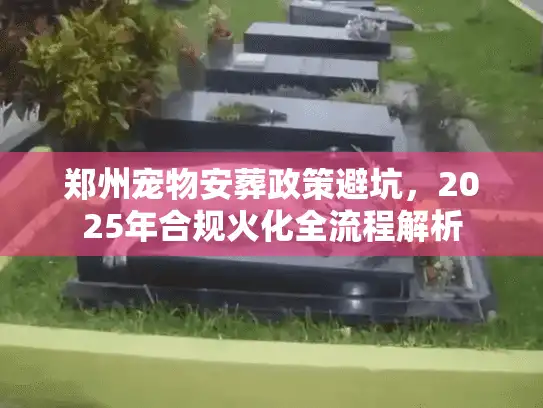 郑州宠物安葬政策避坑，2025年合规火化全流程解析