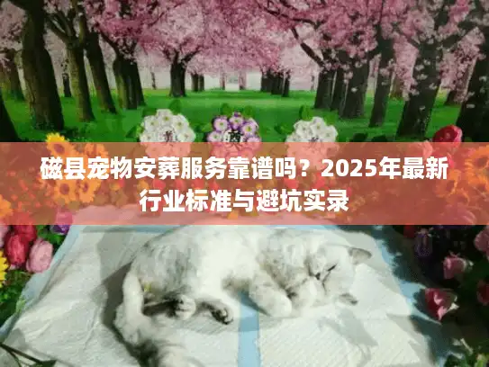 磁县宠物安葬服务靠谱吗？2025年最新行业标准与避坑实录