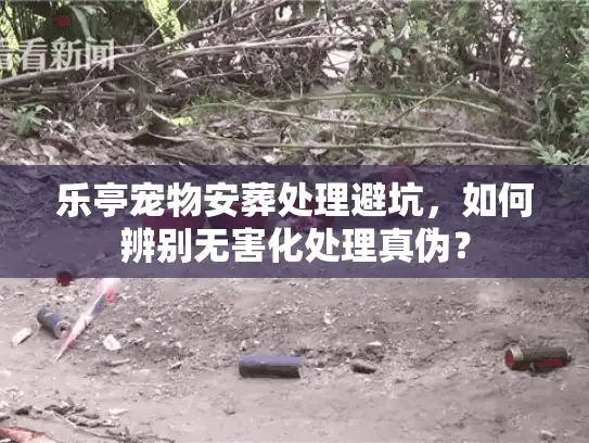 乐亭宠物安葬处理避坑，如何辨别无害化处理真伪？
