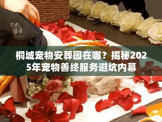 桐城宠物安葬园在哪？揭秘2025年宠物善终服务避坑内幕