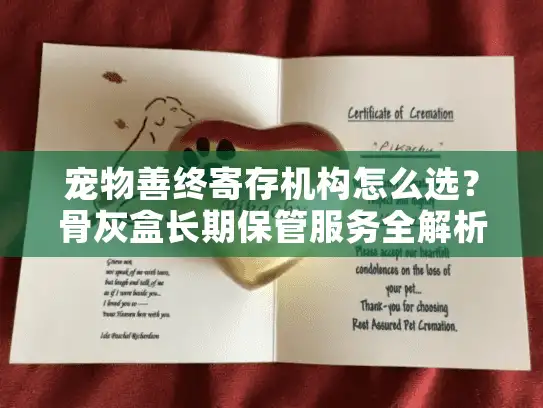 宠物善终寄存机构怎么选？骨灰盒长期保管服务全解析