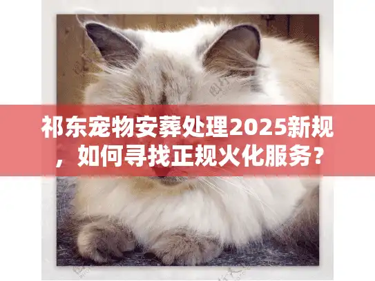祁东宠物安葬处理2025新规，如何寻找正规火化服务？