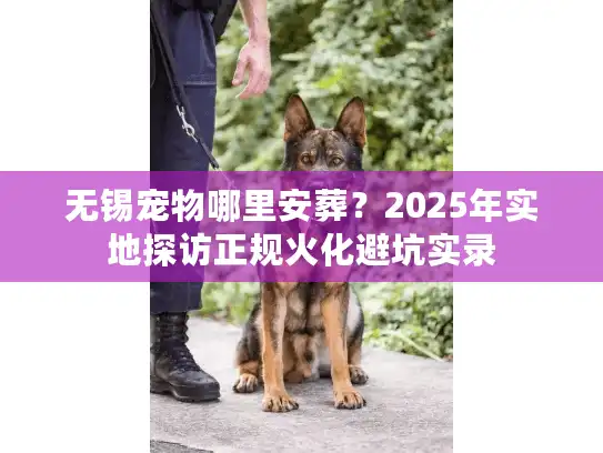 无锡宠物哪里安葬？2025年实地探访正规火化避坑实录
