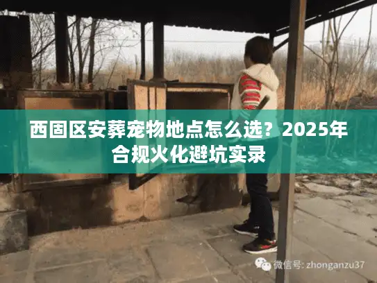 西固区安葬宠物地点怎么选？2025年合规火化避坑实录