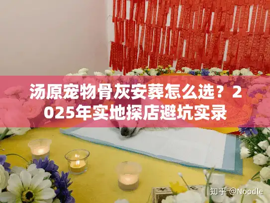 汤原宠物骨灰安葬怎么选？2025年实地探店避坑实录