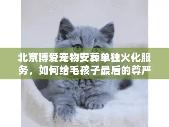 北京博爱宠物安葬单独火化服务，如何给毛孩子最后的尊严？
