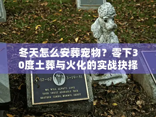 冬天怎么安葬宠物？零下30度土葬与火化的实战抉择