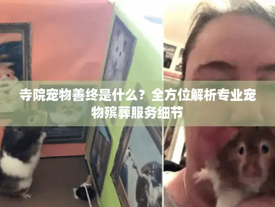 寺院宠物善终是什么？全方位解析专业宠物殡葬服务细节