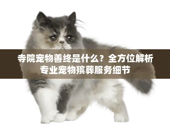 寺院宠物善终是什么？全方位解析专业宠物殡葬服务细节