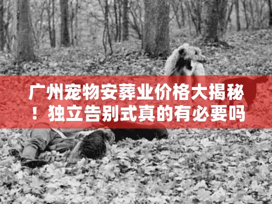 广州宠物安葬业价格大揭秘！独立告别式真的有必要吗