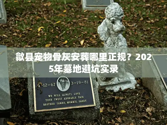 歙县宠物骨灰安葬哪里正规？2025年墓地避坑实录
