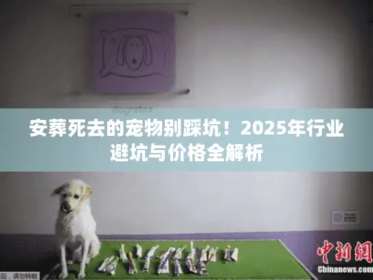 安葬死去的宠物别踩坑！2025年行业避坑与价格全解析
