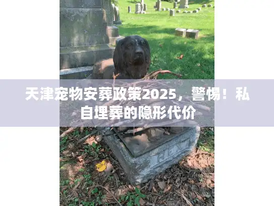 天津宠物安葬政策2025，警惕！私自埋葬的隐形代价