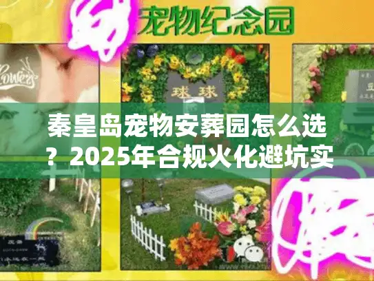 秦皇岛宠物安葬园怎么选？2025年合规火化避坑实录