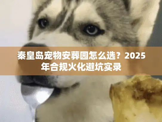 秦皇岛宠物安葬园怎么选？2025年合规火化避坑实录
