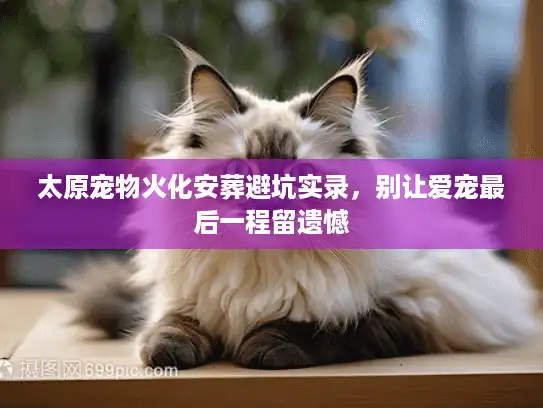 太原宠物火化安葬避坑实录，别让爱宠最后一程留遗憾