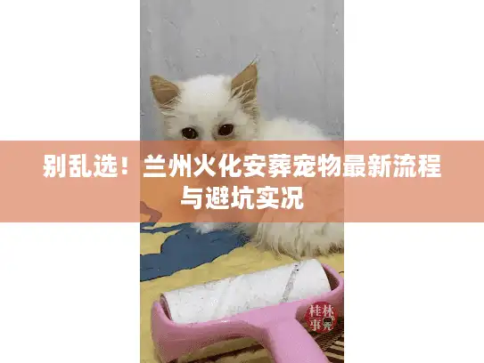 别乱选！兰州火化安葬宠物最新流程与避坑实况