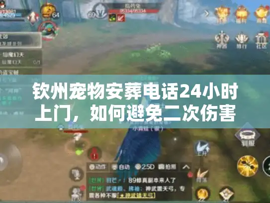 钦州宠物安葬电话24小时上门，如何避免二次伤害？