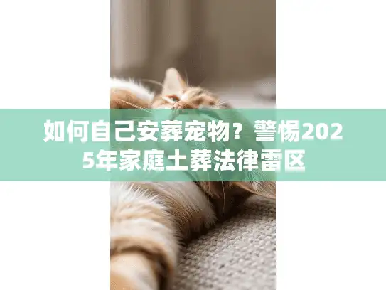 如何自己安葬宠物？警惕2025年家庭土葬法律雷区