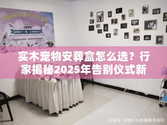 实木宠物安葬盒怎么选？行家揭秘2025年告别仪式新趋势