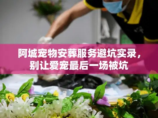 阿城宠物安葬服务避坑实录，别让爱宠最后一场被坑