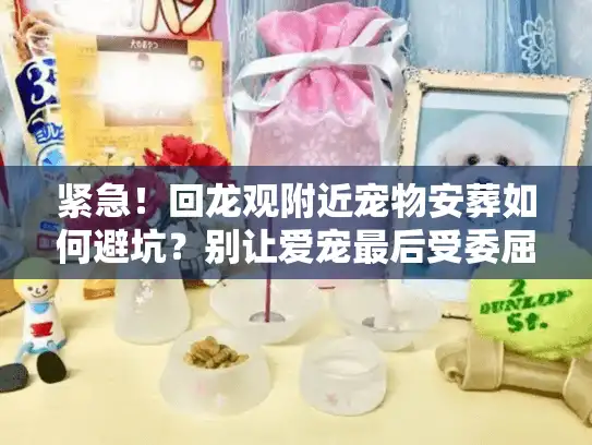 紧急！回龙观附近宠物安葬如何避坑？别让爱宠最后受委屈