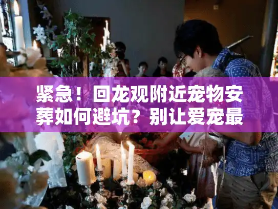 紧急！回龙观附近宠物安葬如何避坑？别让爱宠最后受委屈