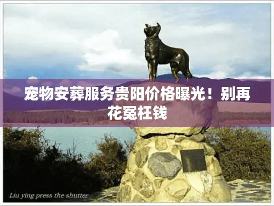 宠物安葬服务贵阳价格曝光！别再花冤枉钱