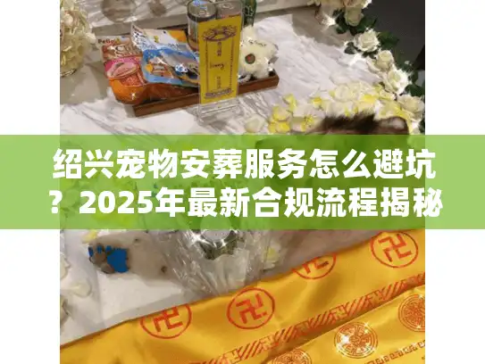 绍兴宠物安葬服务怎么避坑？2025年最新合规流程揭秘