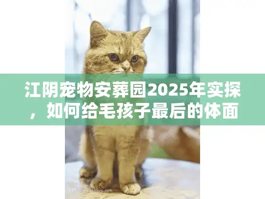 江阴宠物安葬园2025年实探，如何给毛孩子最后的体面？