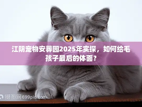江阴宠物安葬园2025年实探，如何给毛孩子最后的体面？