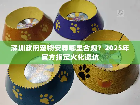 深圳政府宠物安葬哪里合规？2025年官方指定火化避坑