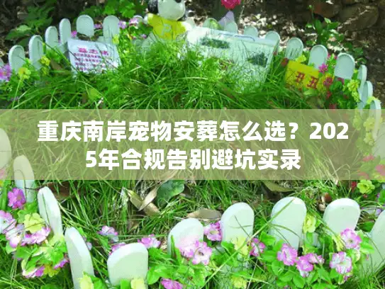 重庆南岸宠物安葬怎么选？2025年合规告别避坑实录