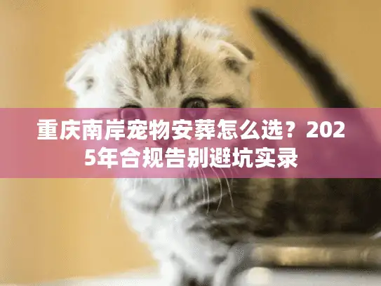 重庆南岸宠物安葬怎么选？2025年合规告别避坑实录