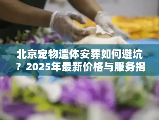 北京宠物遗体安葬如何避坑？2025年最新价格与服务揭秘