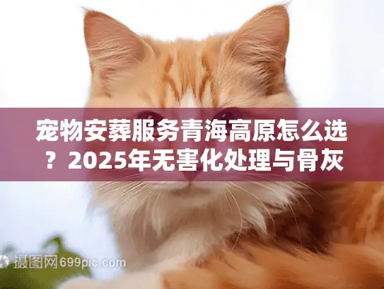 宠物安葬服务青海高原怎么选？2025年无害化处理与骨灰寄存实战