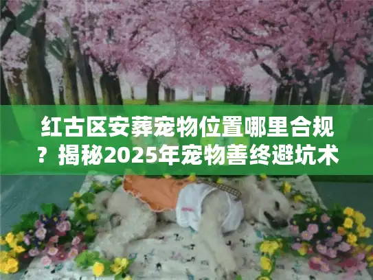 红古区安葬宠物位置哪里合规？揭秘2025年宠物善终避坑术